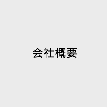 Company Profile
